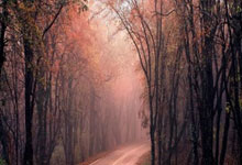 勒沃库森对阵斯图加特，这场德甲对决有哪些看点？